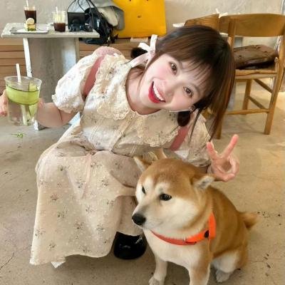 我把忠诚献给你