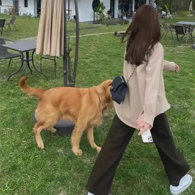 齐格菲歌舞团